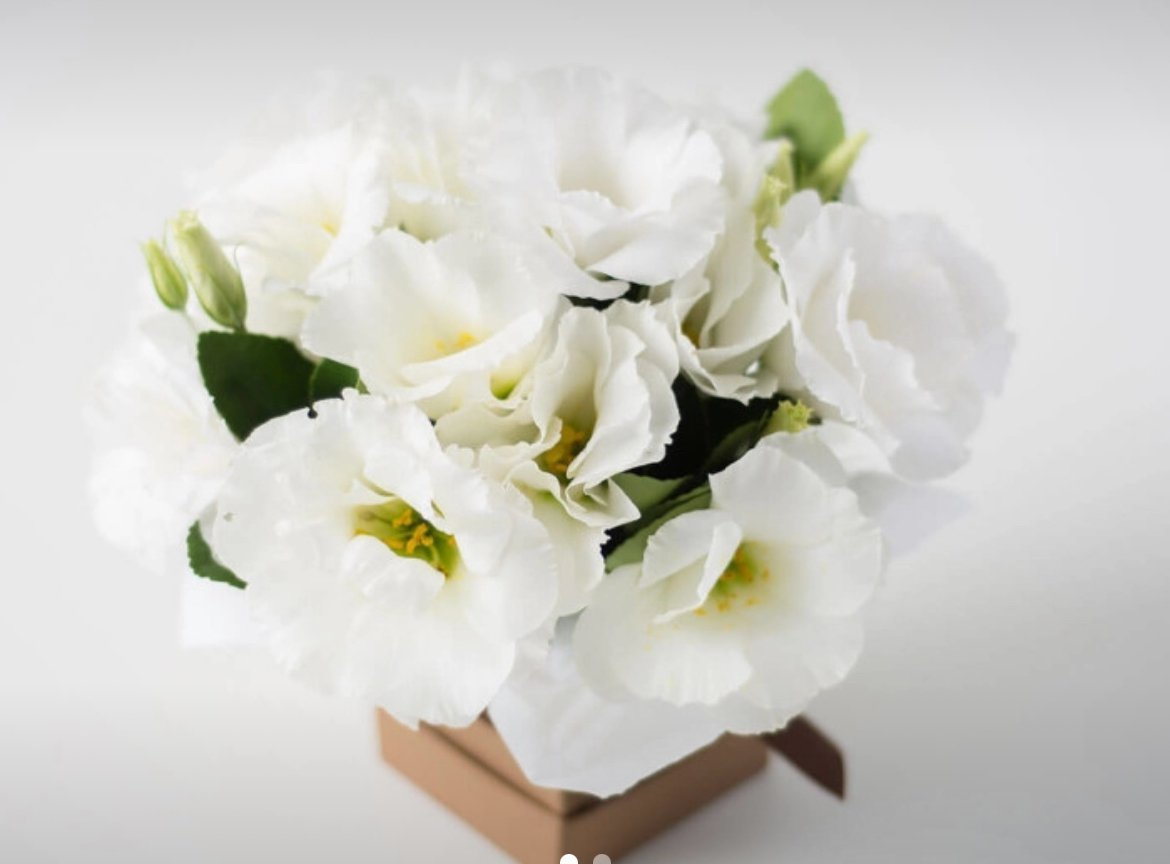 IMG_3631.jpeg Arranjo Pequeno de Lisianthus - Imagem 1